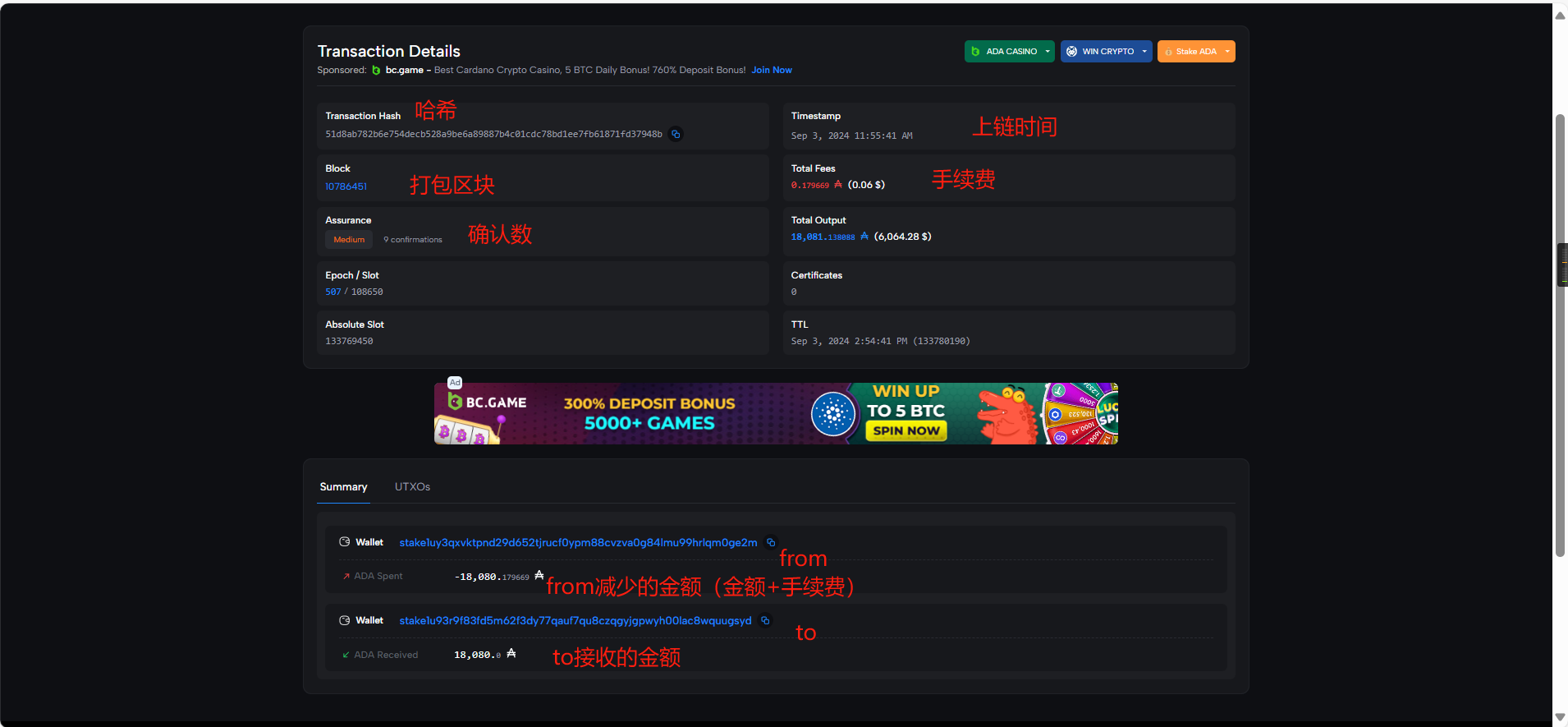 这是图片