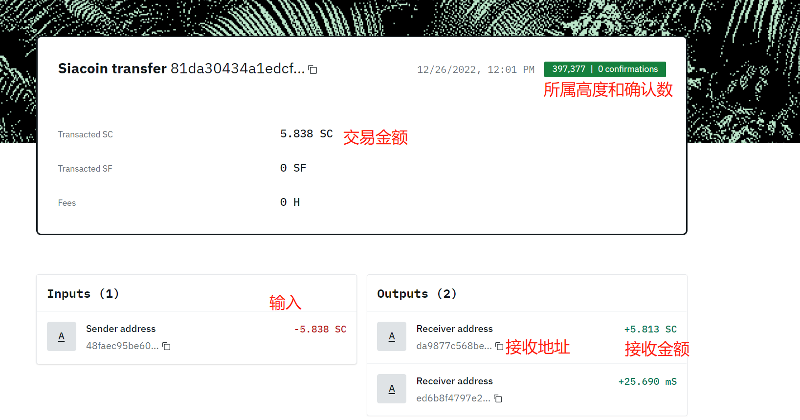 这是图片